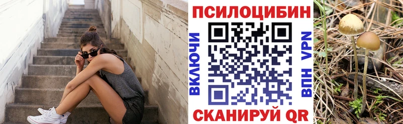 Купить  Кочубеевское  Псилоцибиновые грибы Psilocybine cubensis 